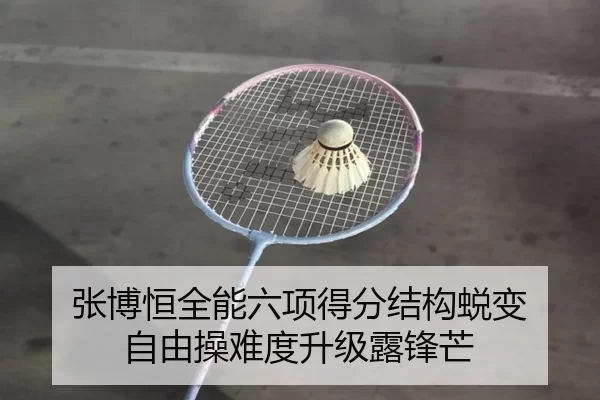 张博恒全能六项得分结构蜕变 自由操难度升级露锋芒